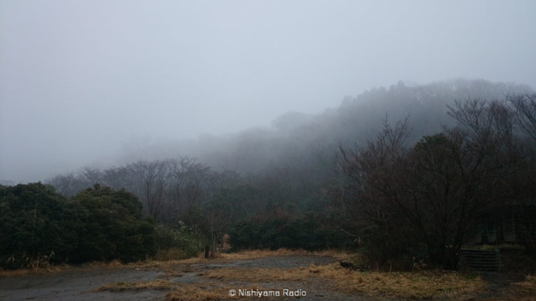 霧の立ち込める横浜自然観察の森