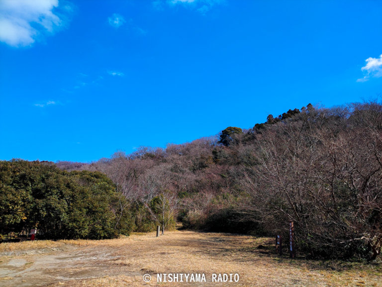 2021年2月の横浜自然観察の森